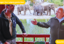 Tierpfleger Zoo Leipzig gestorben