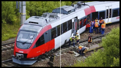 Zug Entgleist Herzberg